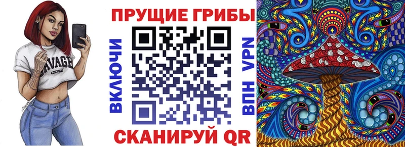 закладка  Старый Крым  Галлюциногенные грибы мухоморы 